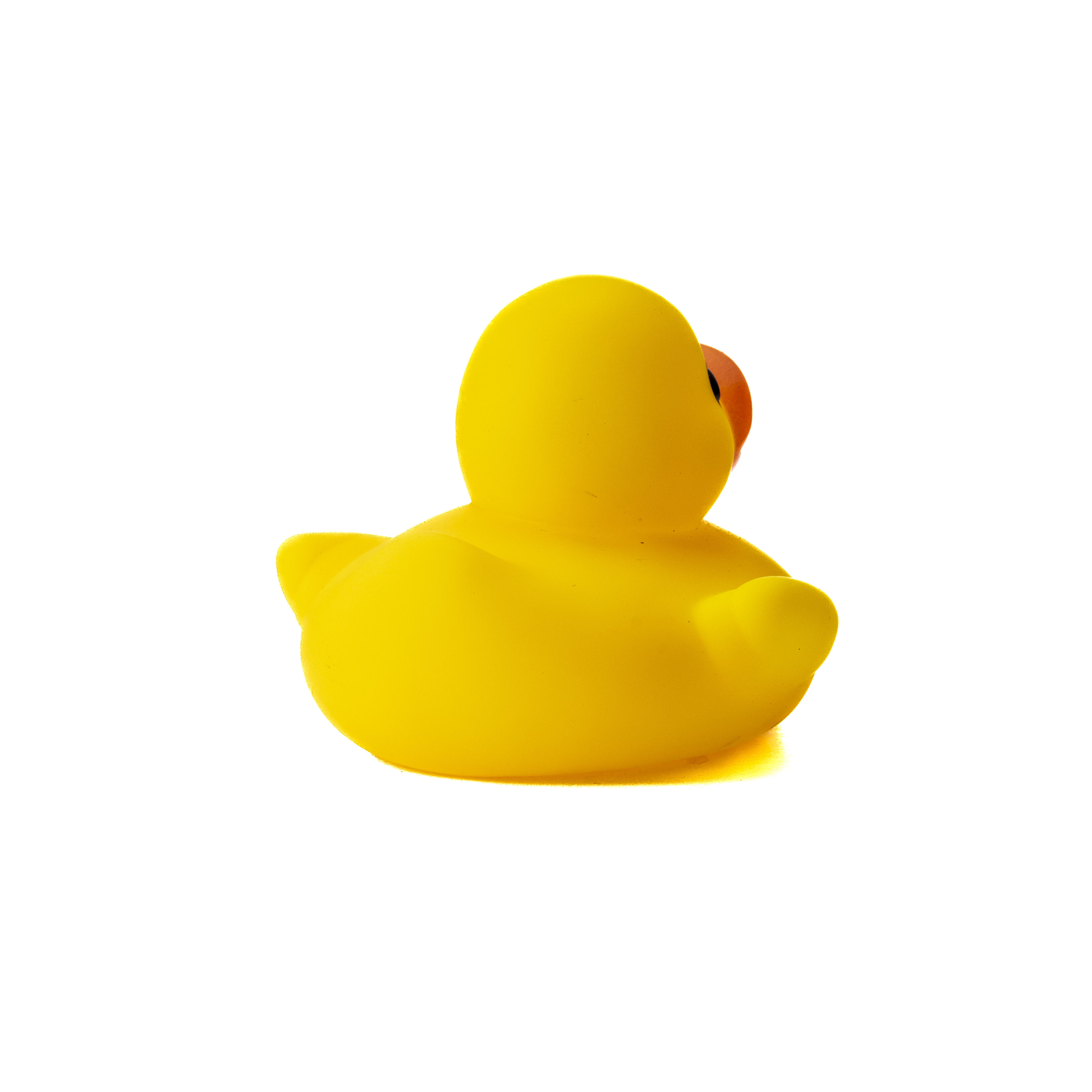 アヒルのおもちゃ(rubber duck)